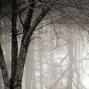 Meet your Posher, Misty